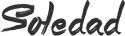 ilrid.org